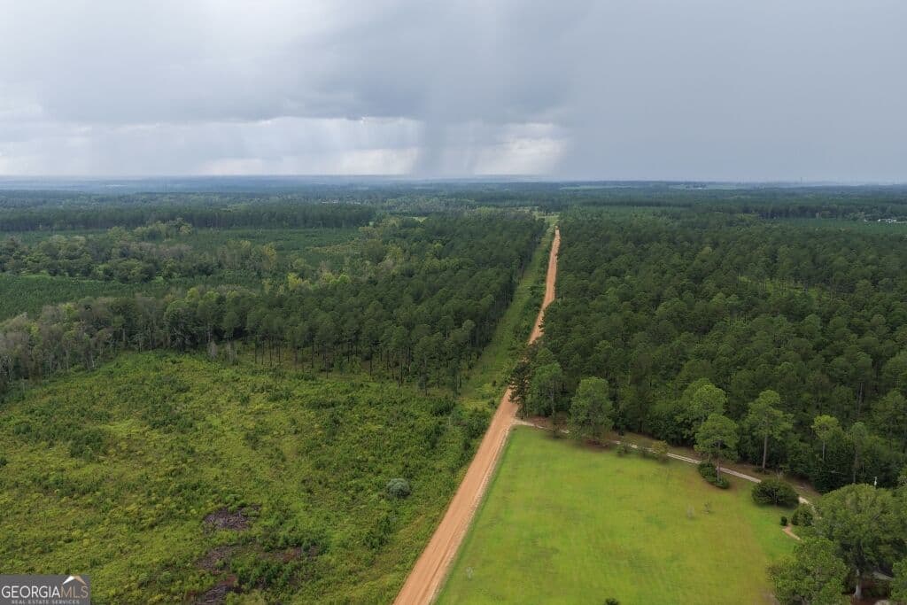 agriculture for sale at 0 Watson & Hendricks Roads TRACT 1, Metter, GA 30439 — photo 8