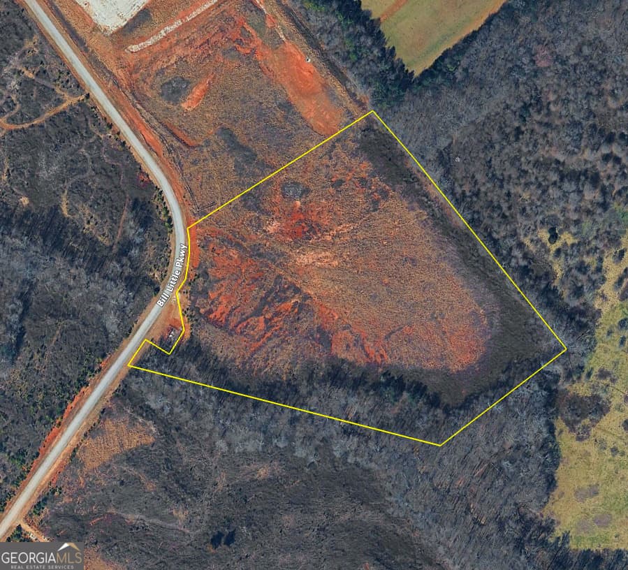commercial for sale at 0 Bill Little Parkway, Carnesville, GA 30521 — photo 2