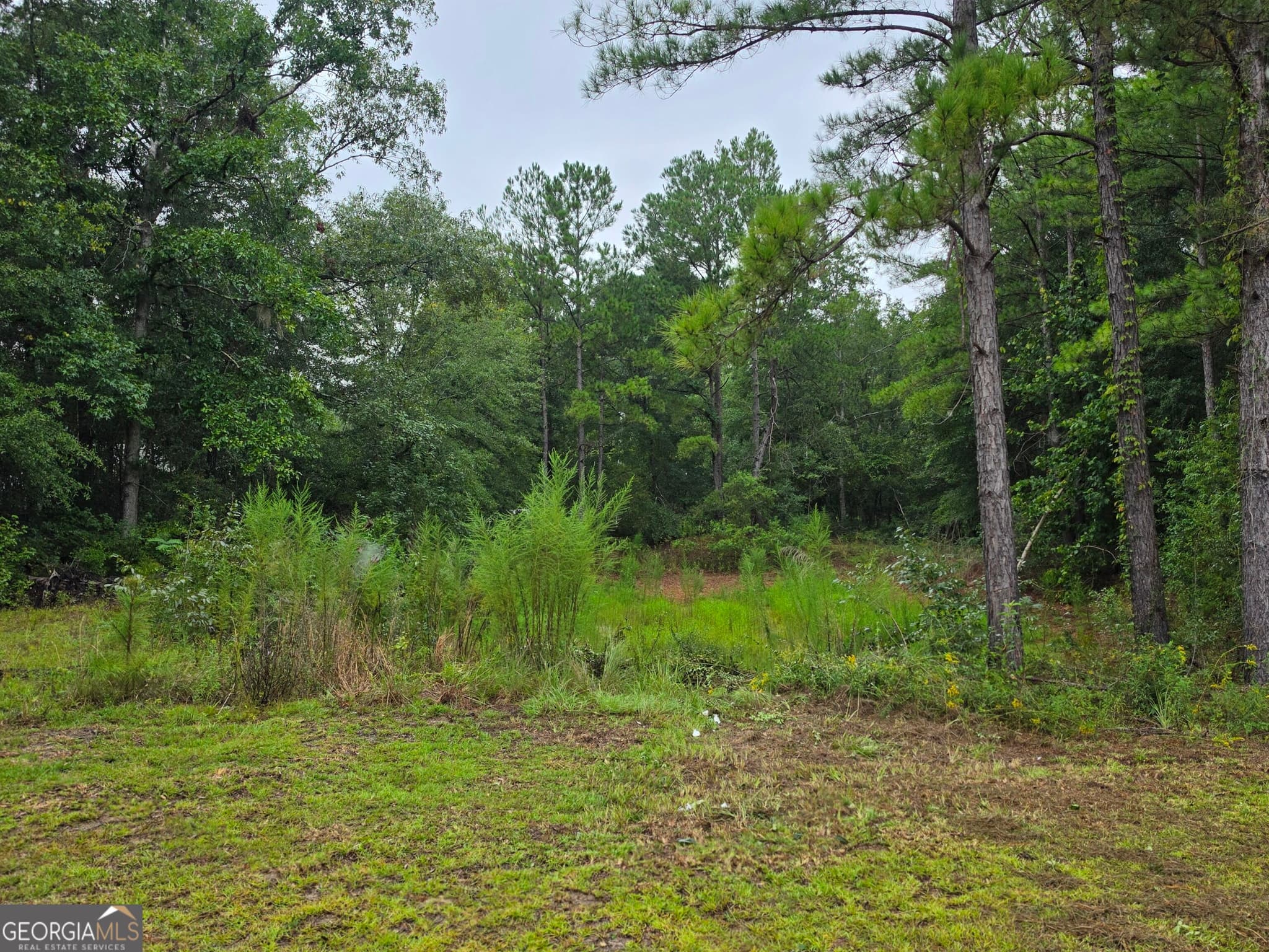 4 bedroom, 2 bathroom, 1,960 sq ft single family residence for sale at 3594 Bennetts Landing Road, Millen, GA 30442 — photo 6
