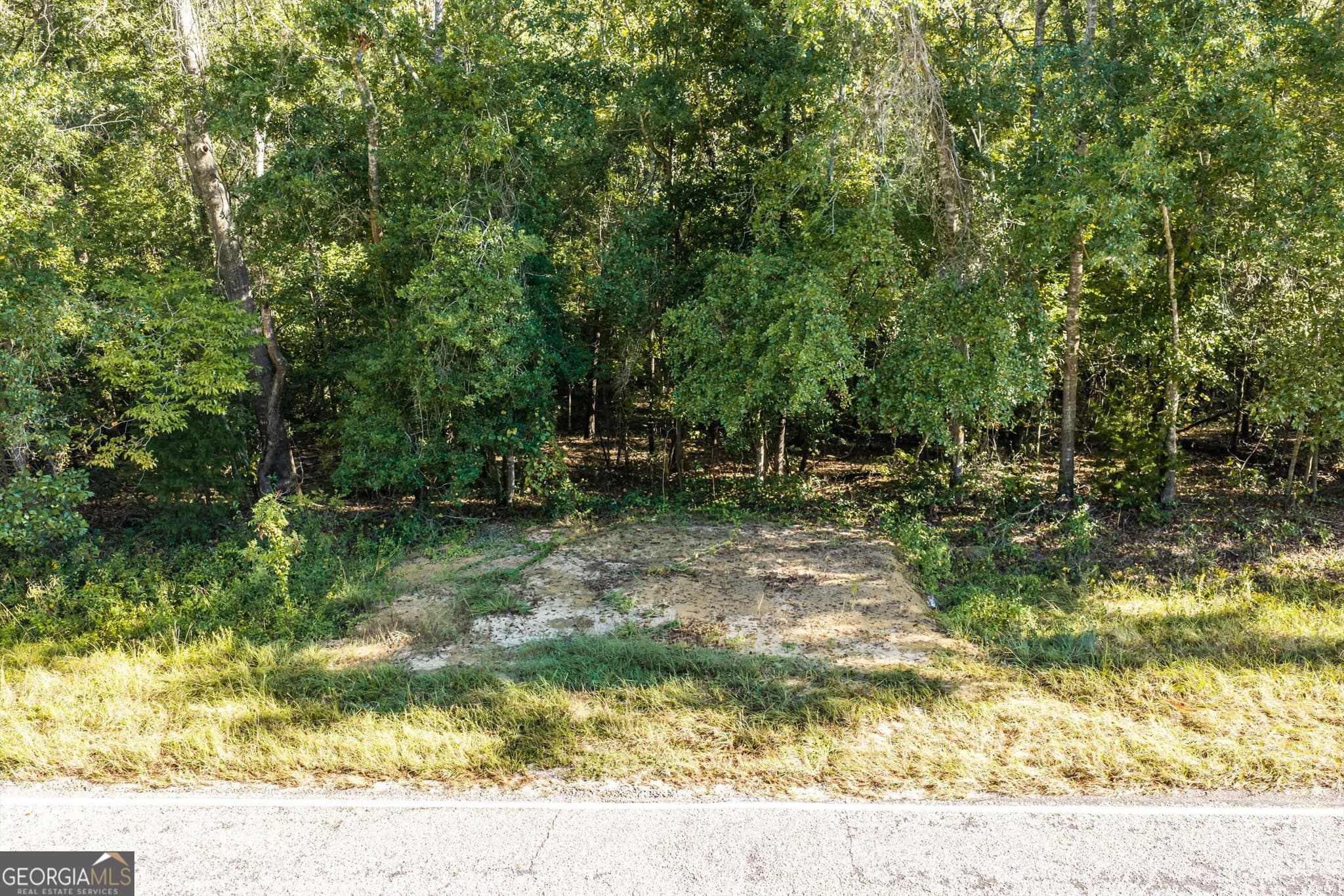 unimproved land for sale at 0 Corley Road, Hephzibah, GA 30815 — photo 2