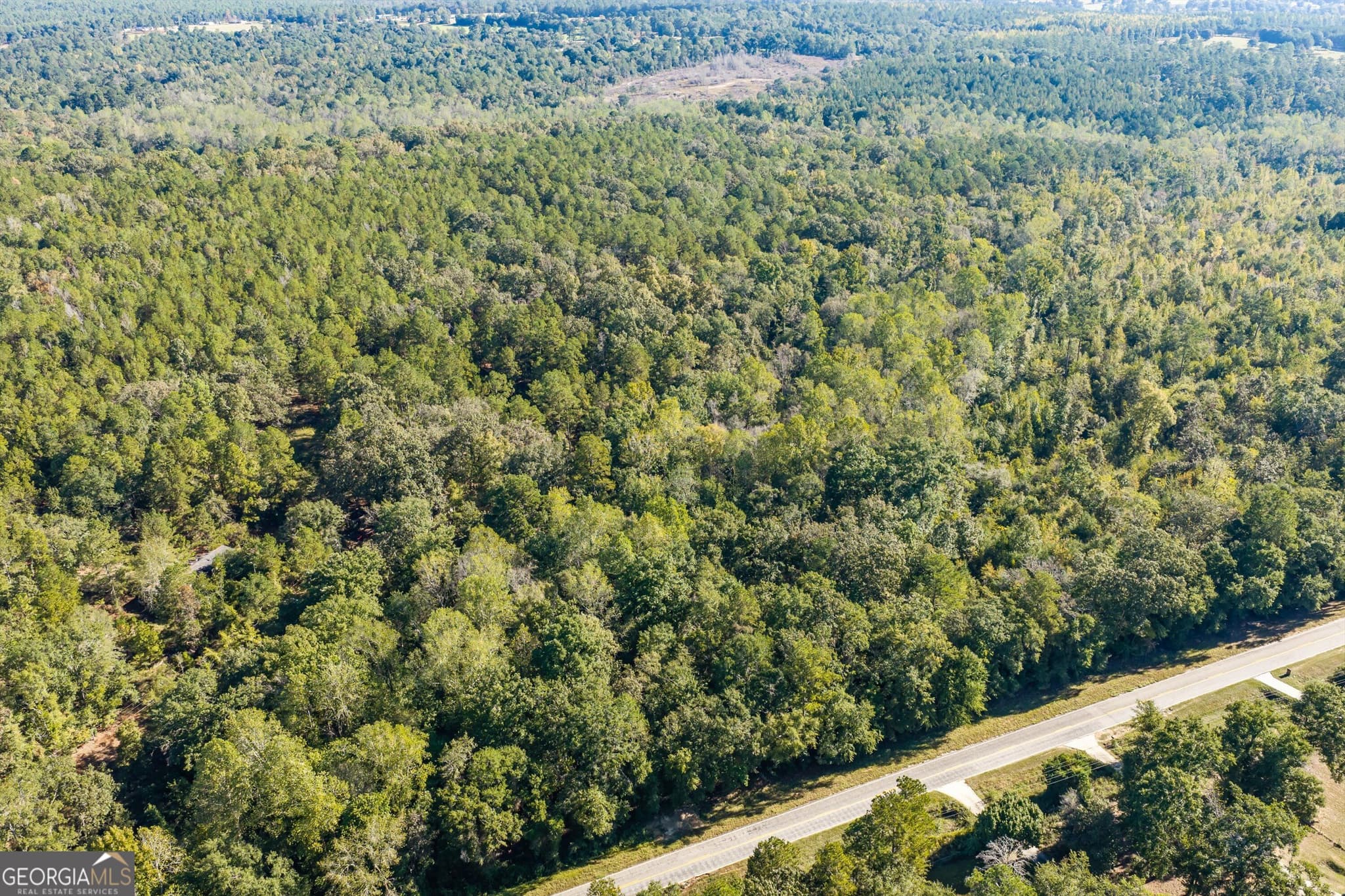 unimproved land for sale at 0 Corley Road, Hephzibah, GA 30815 — photo 7
