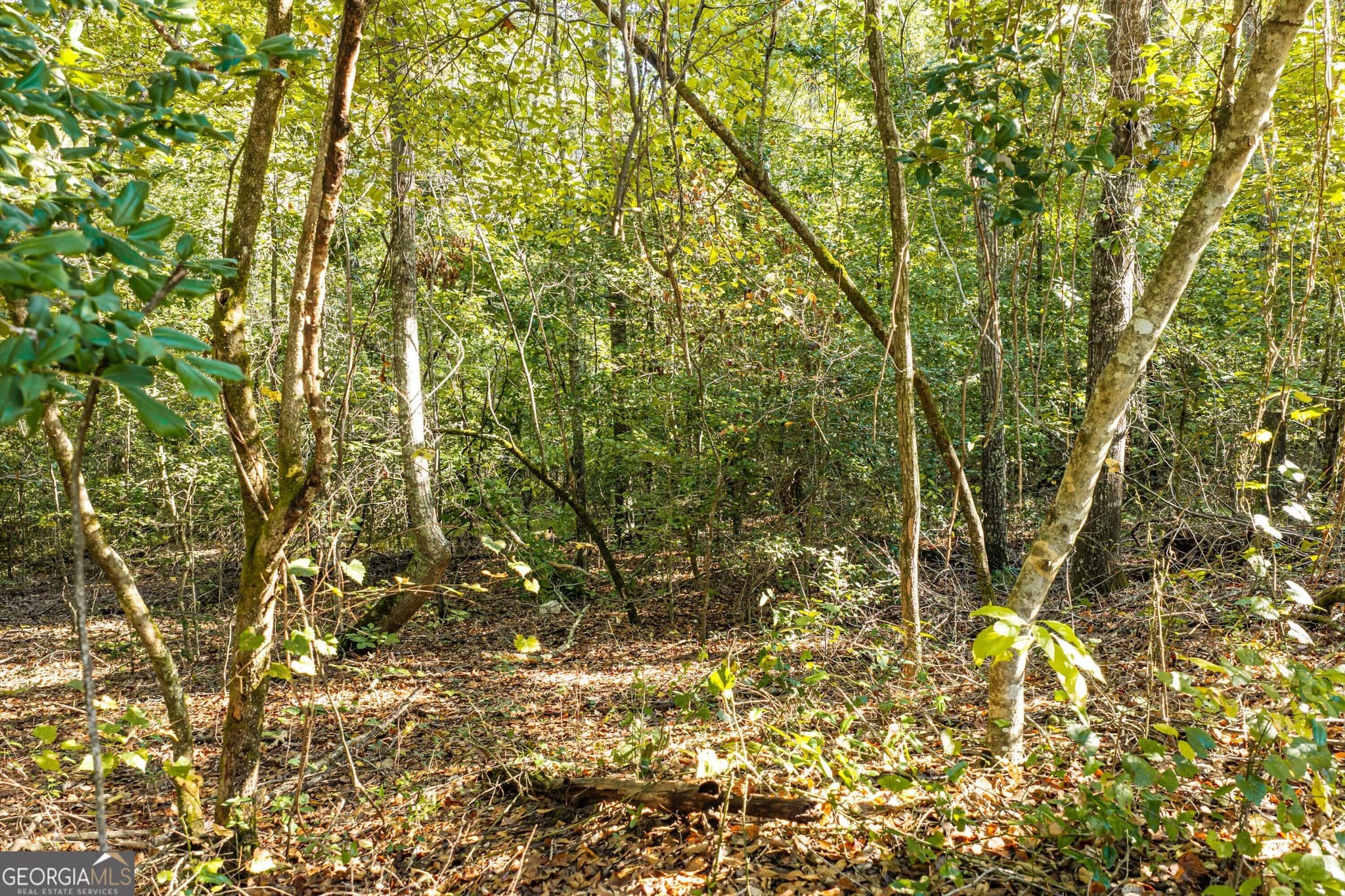 unimproved land for sale at 0 Corley Road, Hephzibah, GA 30815 — photo 3