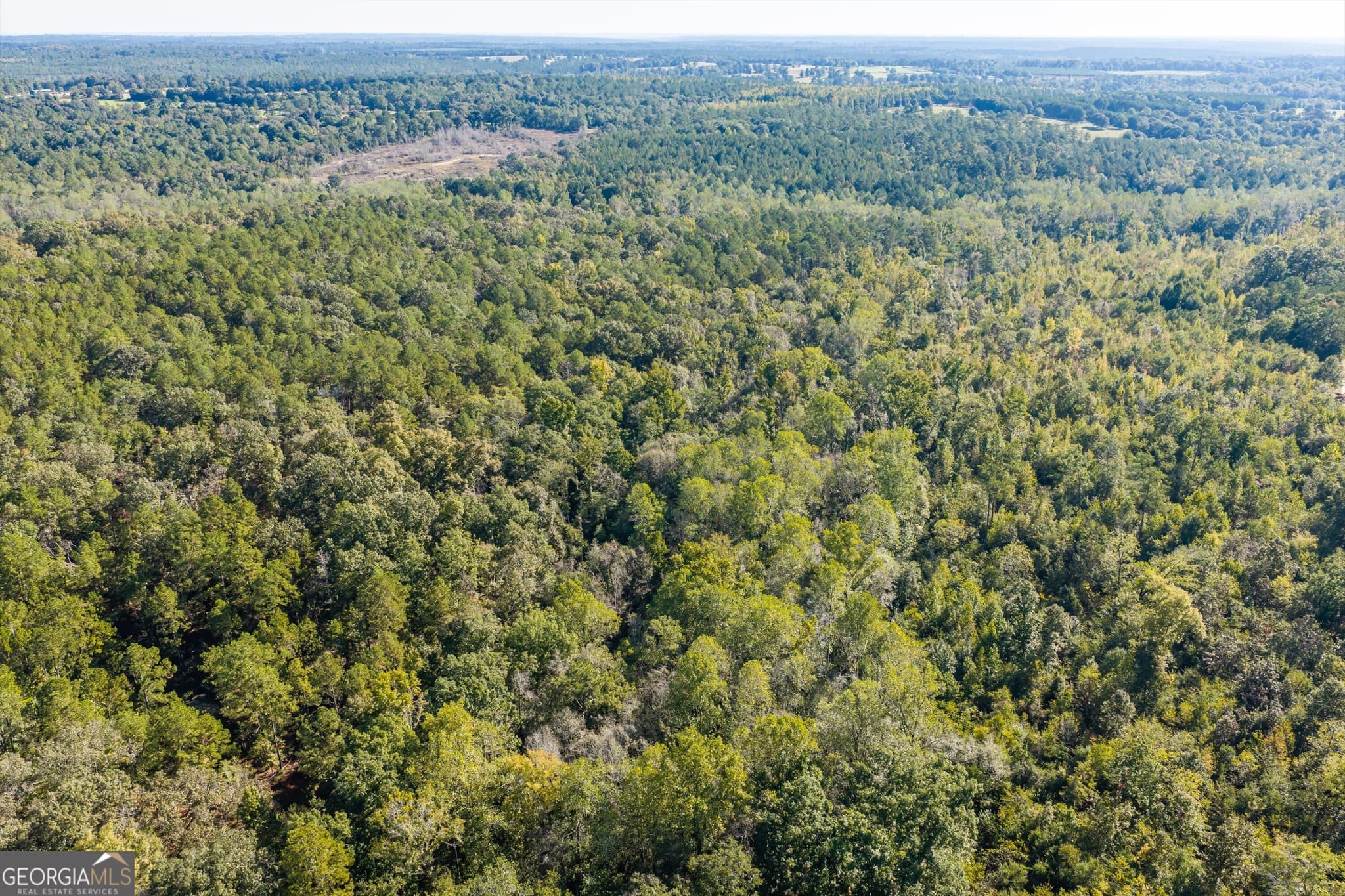 unimproved land for sale at 0 Corley Road, Hephzibah, GA 30815