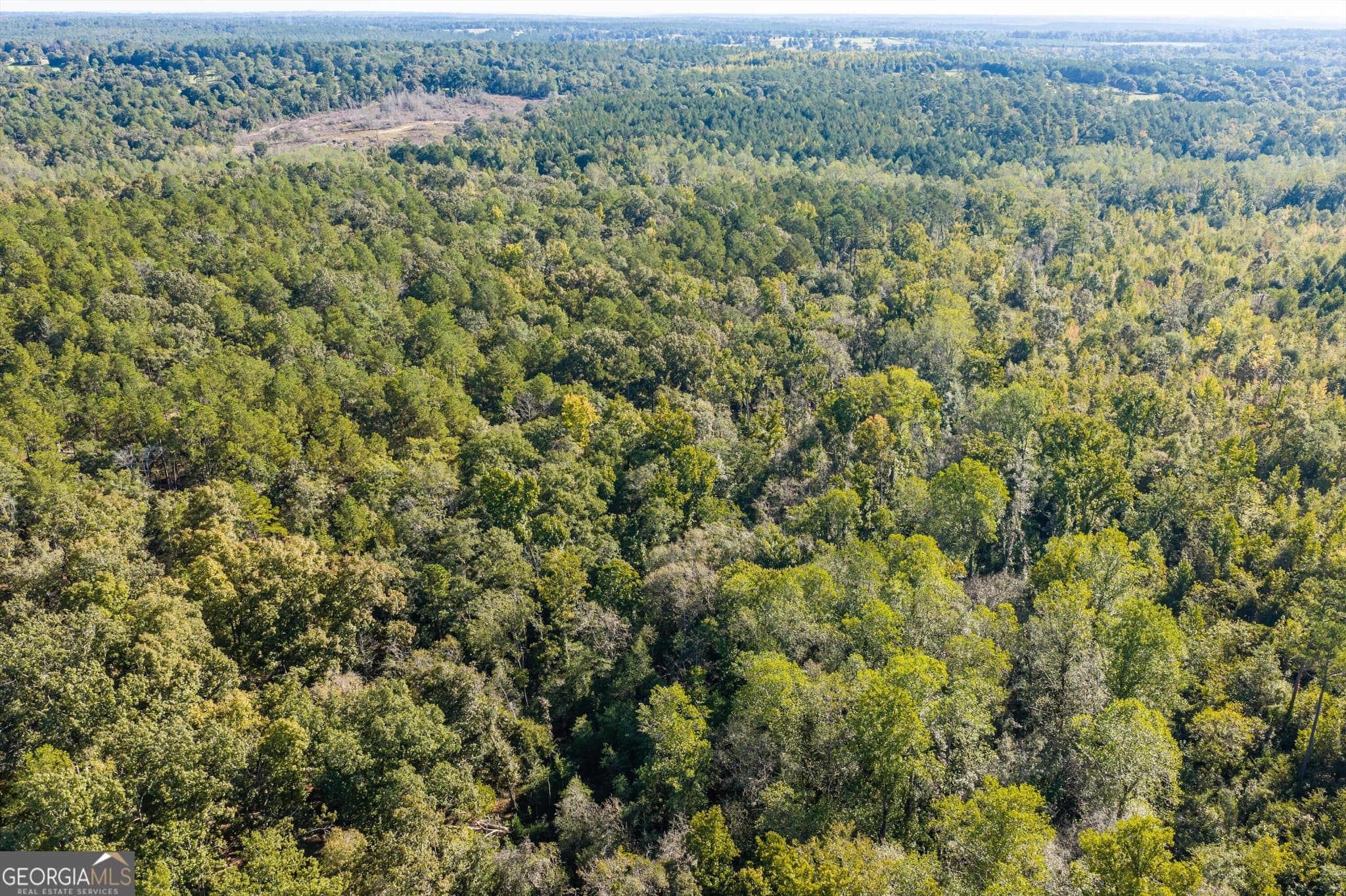 unimproved land for sale at 0 Corley Road, Hephzibah, GA 30815 — photo 5