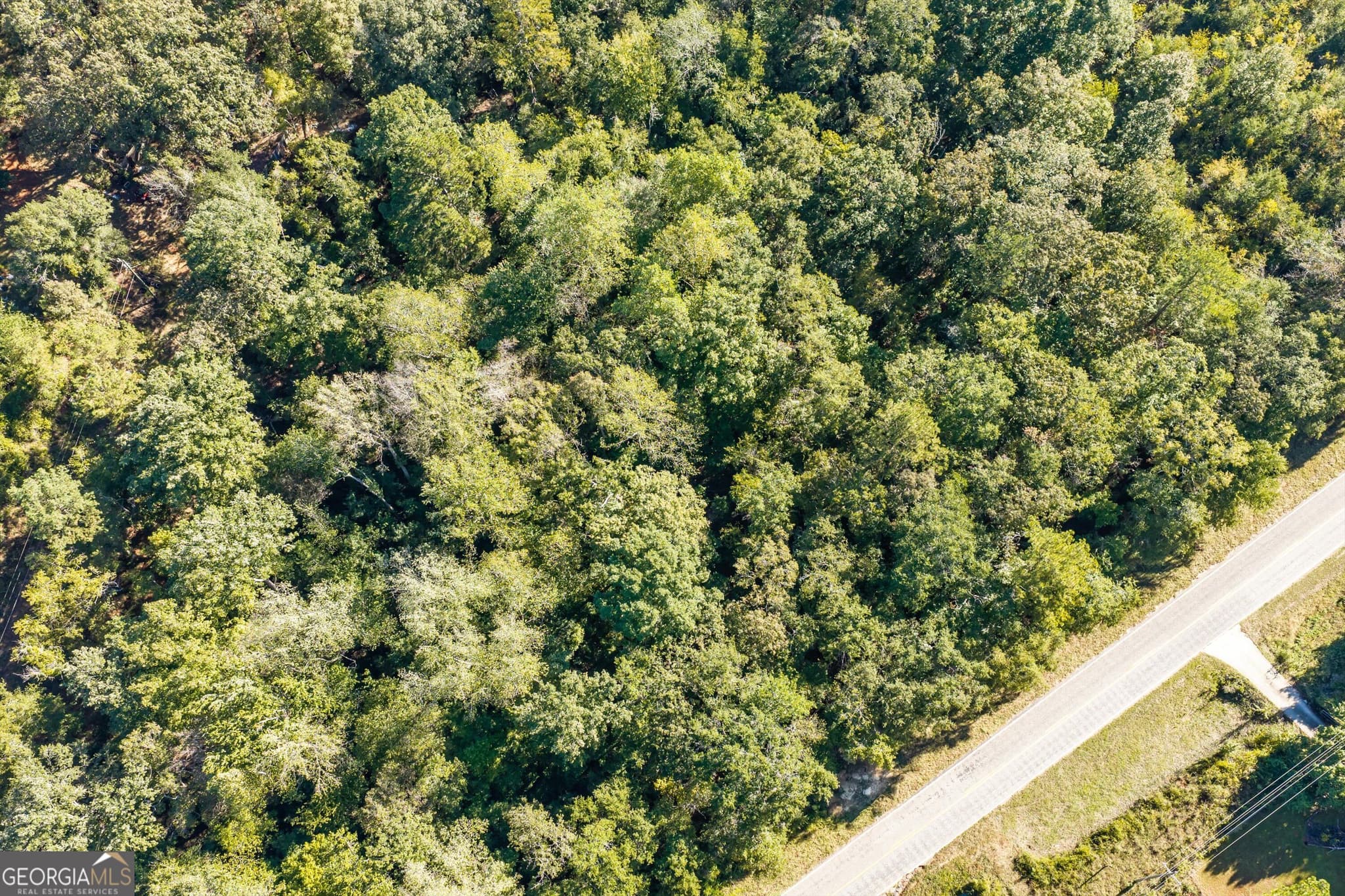 unimproved land for sale at 0 Corley Road, Hephzibah, GA 30815 — photo 9