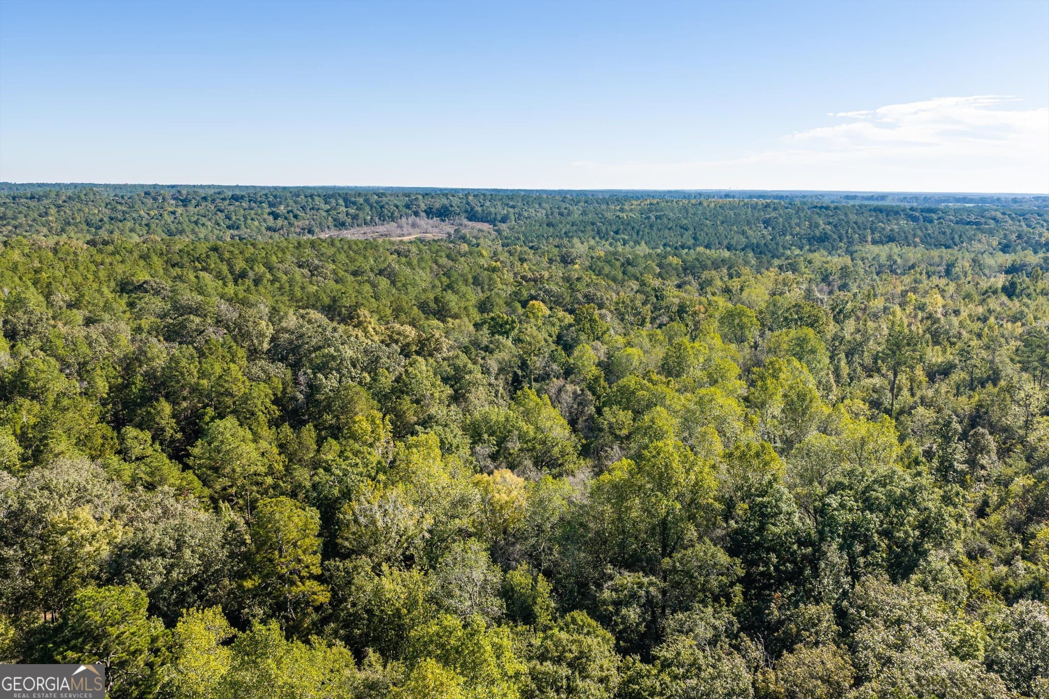 unimproved land for sale at 0 Corley Road, Hephzibah, GA 30815 — photo 10