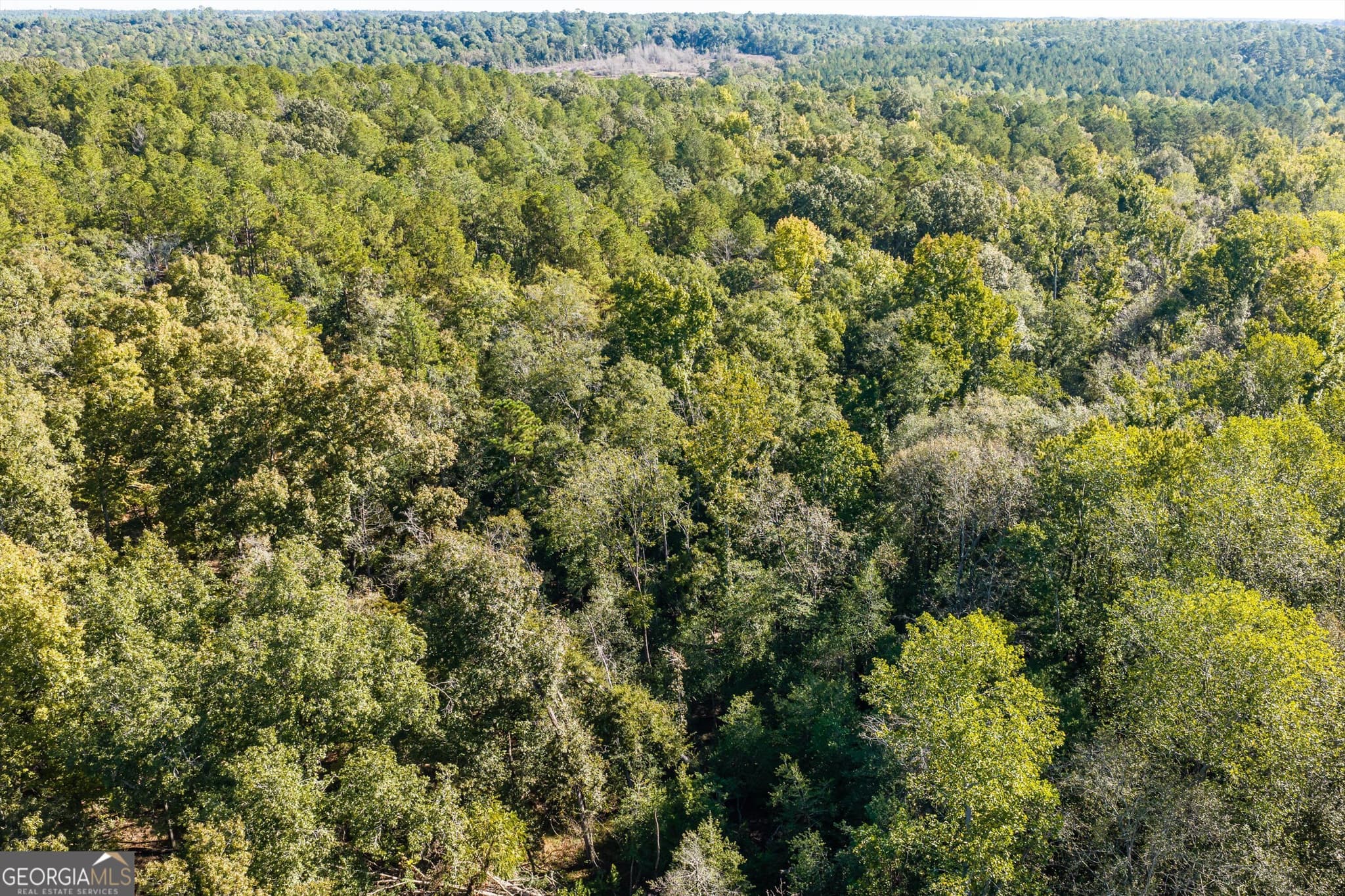 unimproved land for sale at 0 Corley Road, Hephzibah, GA 30815 — photo 4