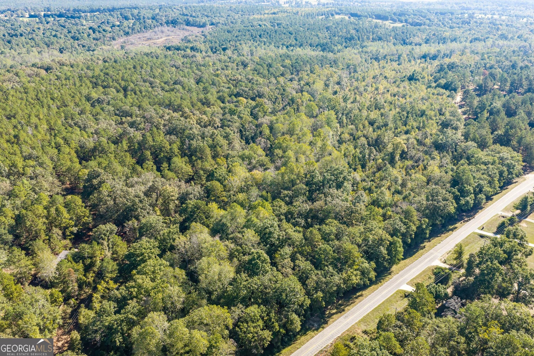 unimproved land for sale at 0 Corley Road, Hephzibah, GA 30815 — photo 8