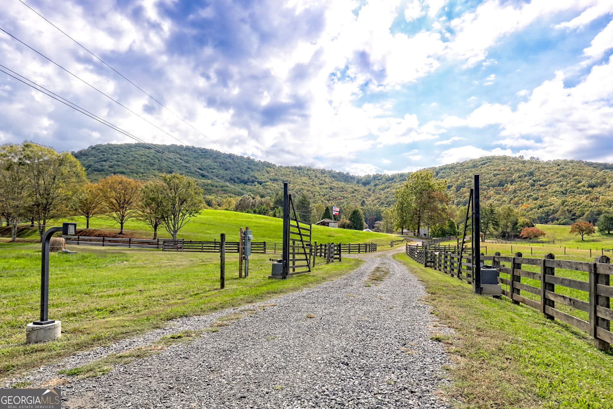 5 bedroom, 5.5 bathroom farm for sale at 3147 Old Hwy 64W, Warne, NC 28909 — photo 6