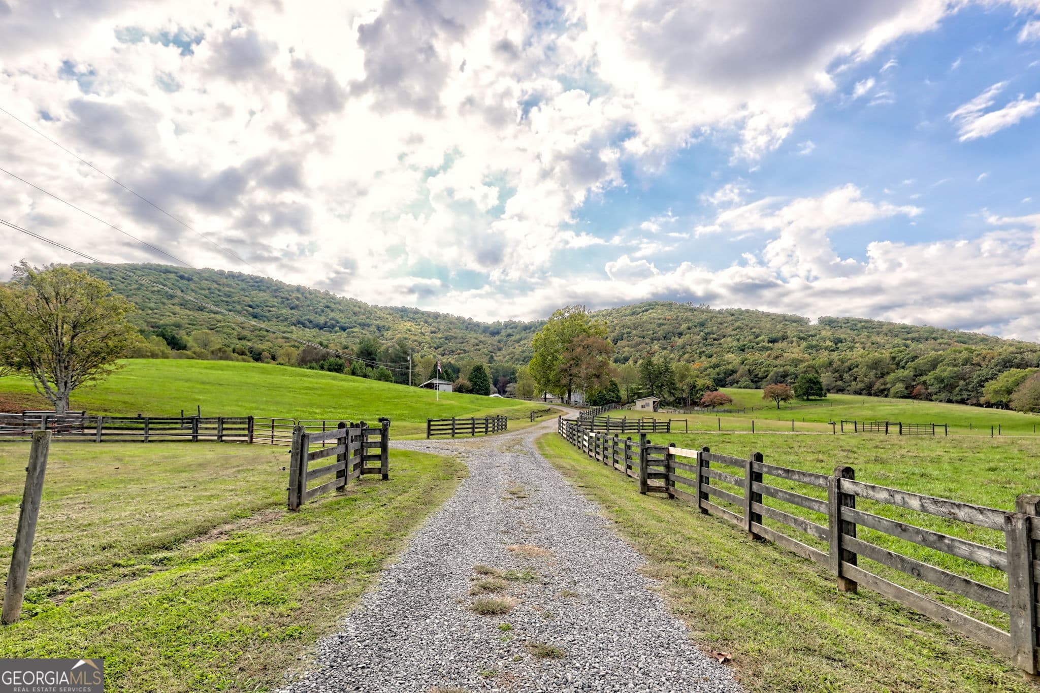 5 bedroom, 5.5 bathroom farm for sale at 3147 Old Hwy 64W, Warne, NC 28909 — photo 7