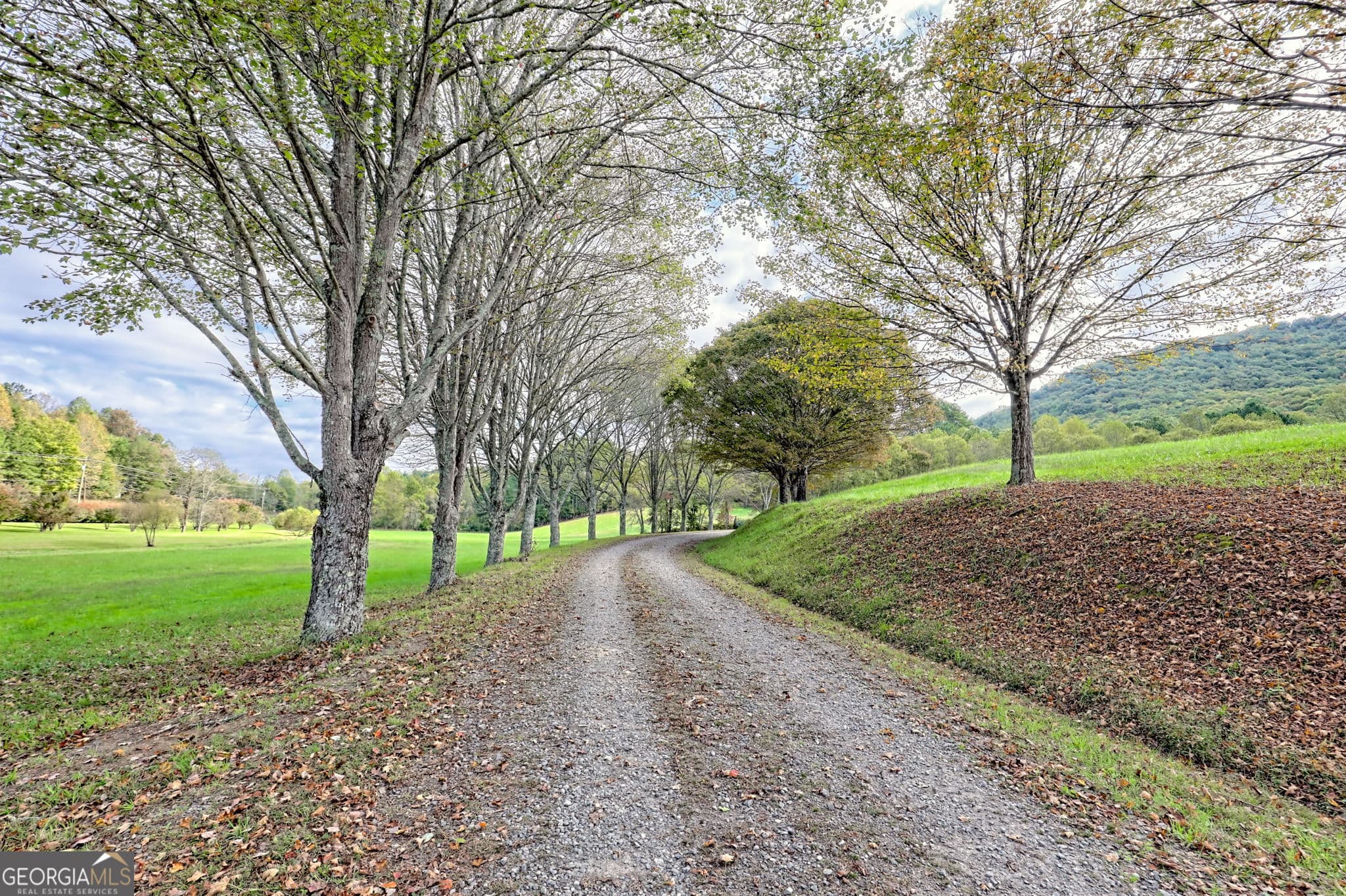5 bedroom, 5.5 bathroom farm for sale at 3147 Old Hwy 64W, Warne, NC 28909 — photo 9