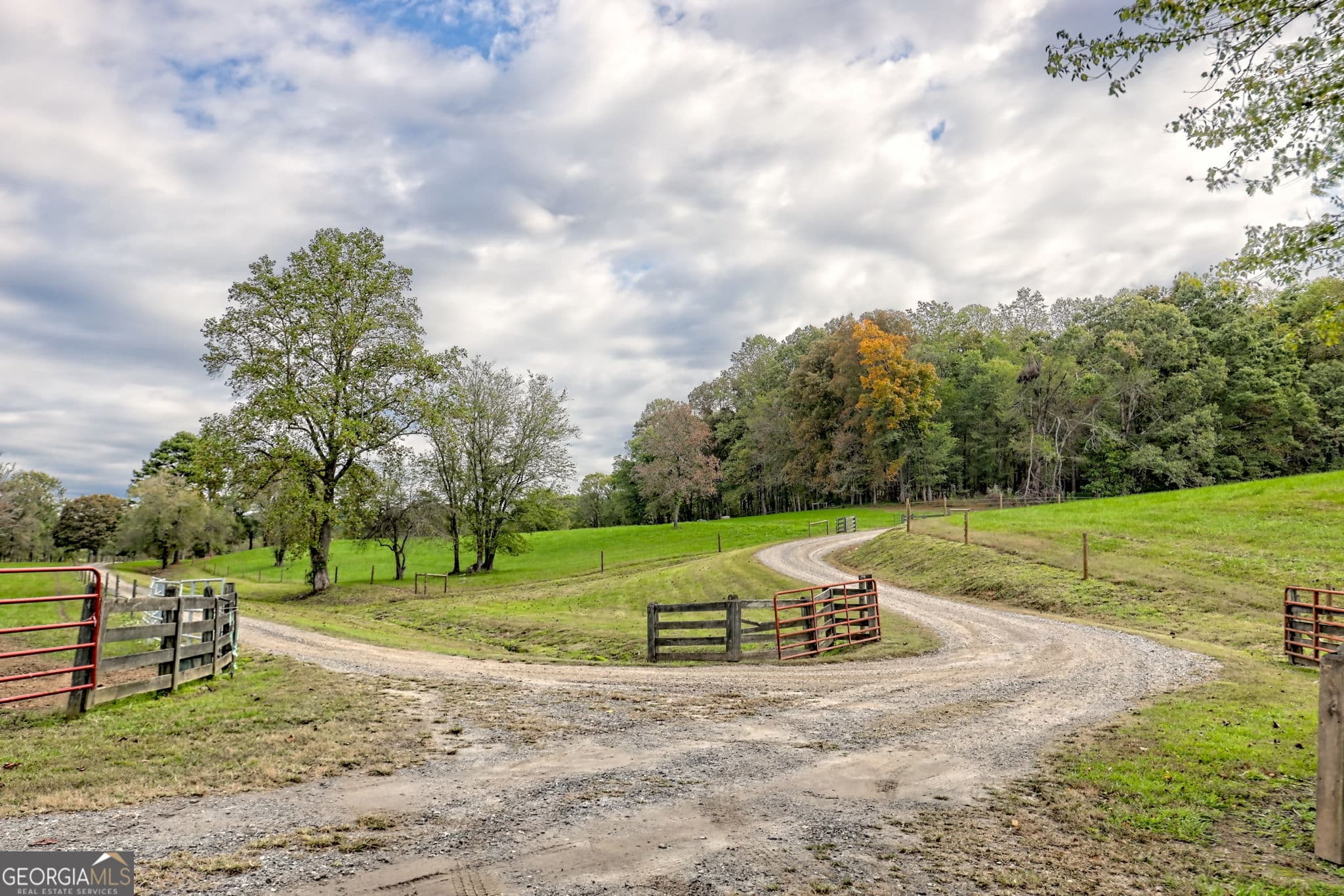 5 bedroom, 5.5 bathroom farm for sale at 3147 Old Hwy 64W, Warne, NC 28909 — photo 8