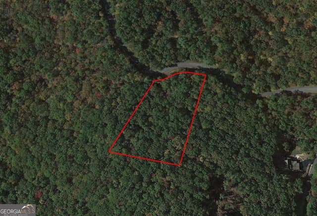 residential lot for sale at 0 Oceola Drive, Ellijay, GA 30540 — photo 6