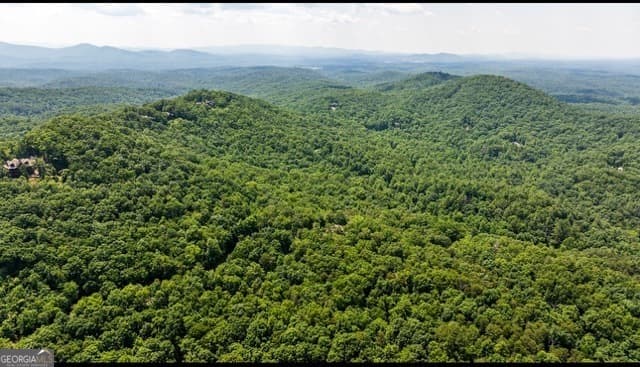 residential lot for sale at 0 Oceola Drive, Ellijay, GA 30540 — photo 1 of 8