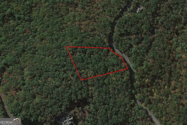 residential lot for sale at 0 Oceola Drive, Ellijay, GA 30540 — photo 5