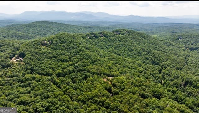 residential lot for sale at 0 Oceola Drive, Ellijay, GA 30540 — photo 4
