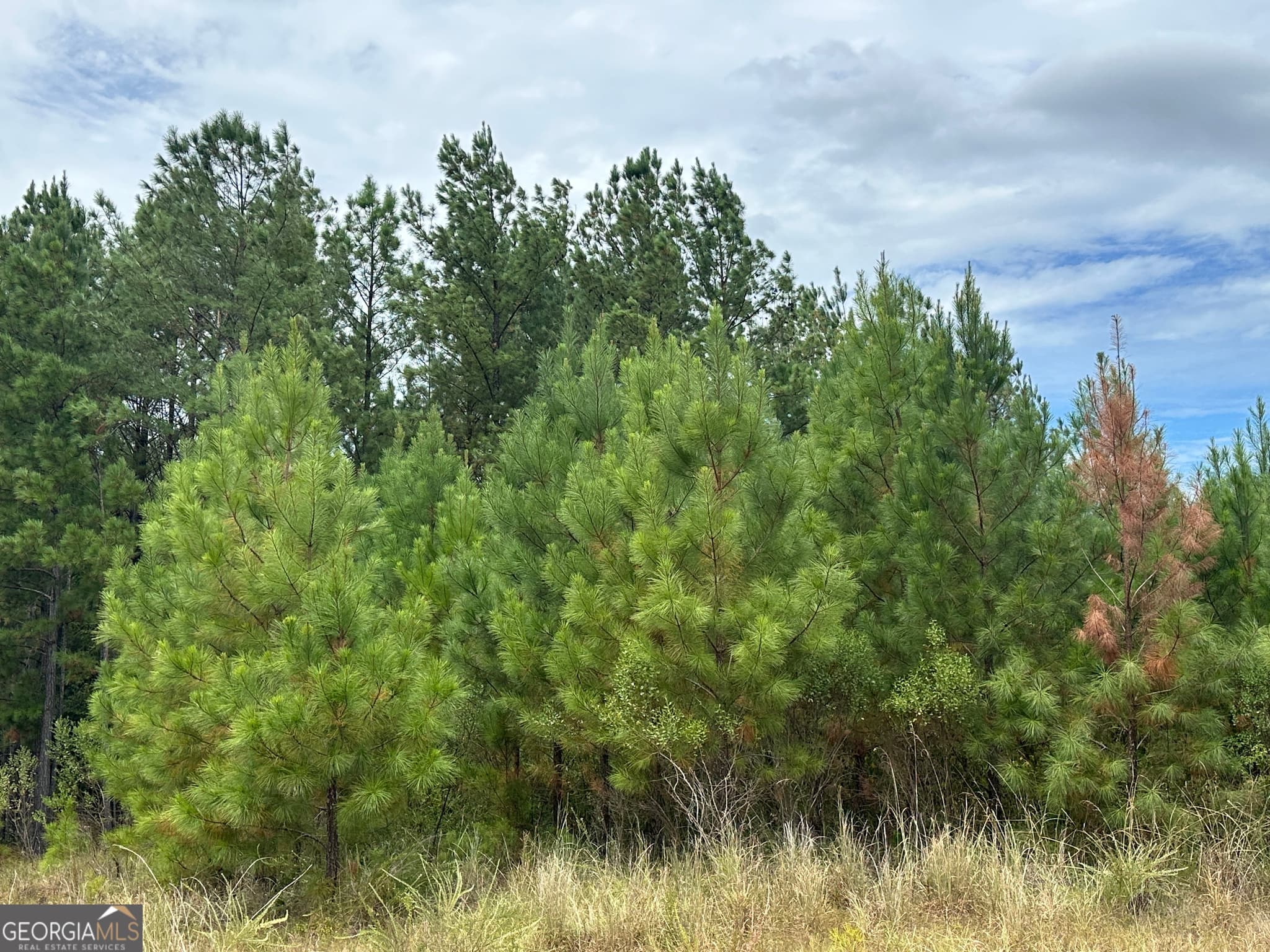 agriculture sold at PARCEL #3 & #4 Tuck Persons Highway 104.4 ACRES, Talbotton, GA 31827