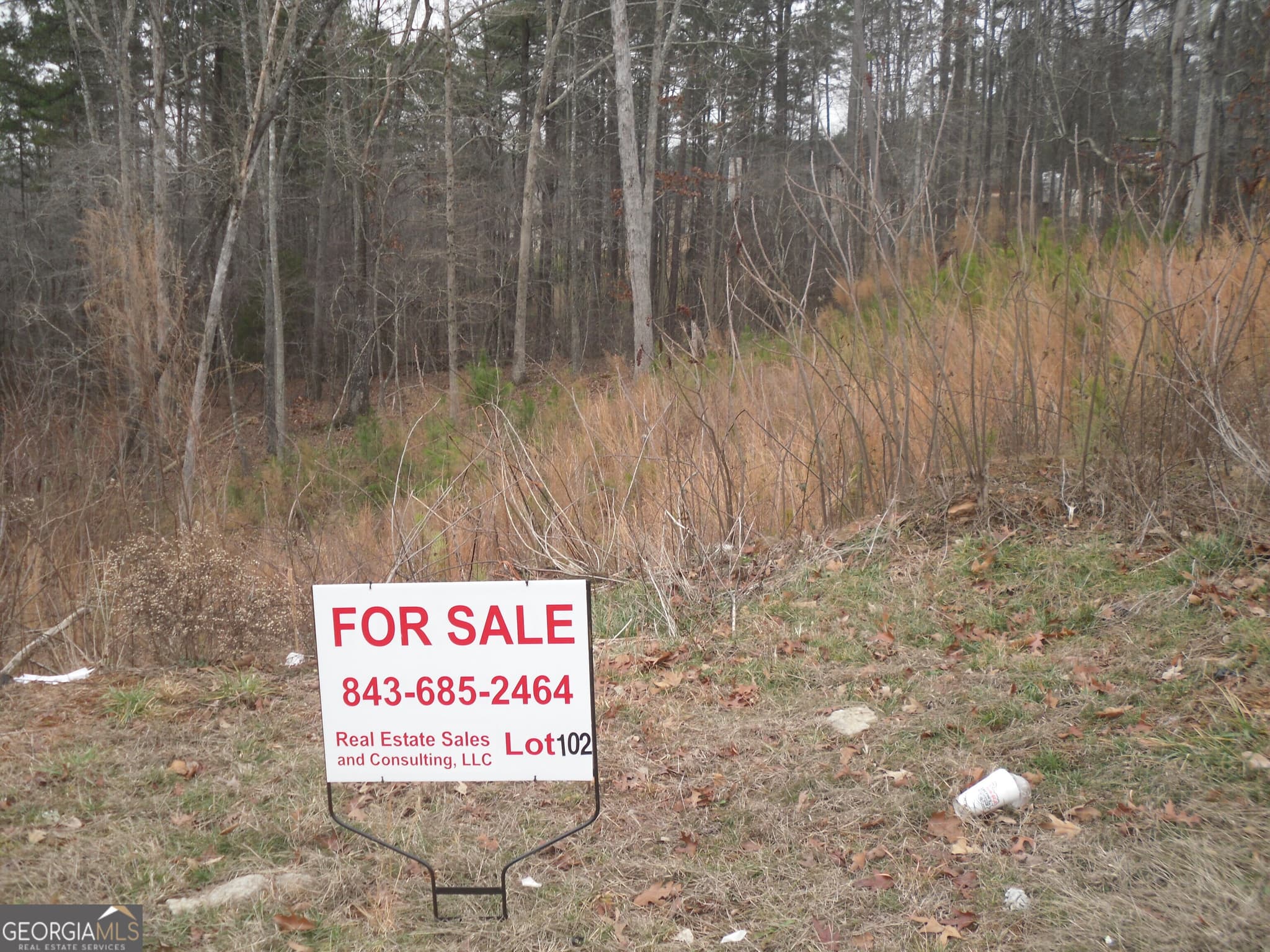residential lot for sale at 219 Millwheel Drive, Villa Rica, GA 30180 — photo 2