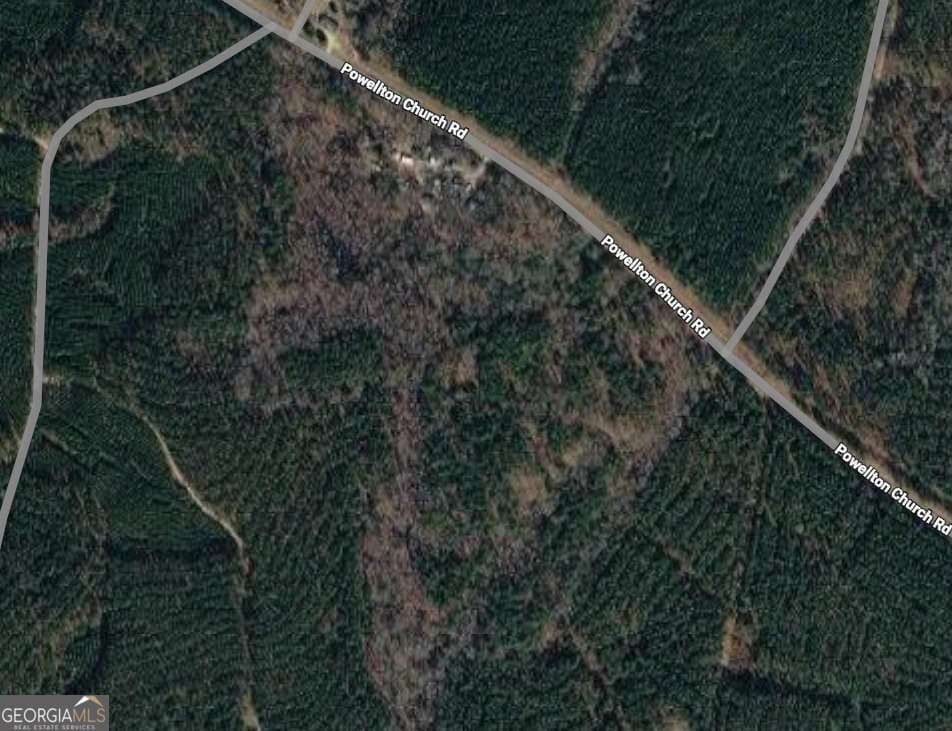 agriculture for sale at 0 221-004, Sparta, GA 31087 — photo 2