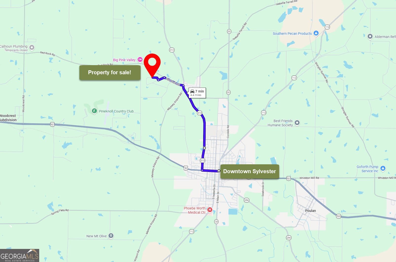 residential lot for sale at 0 San Barnard Arcade, Sylvester, GA 31791 — photo 7