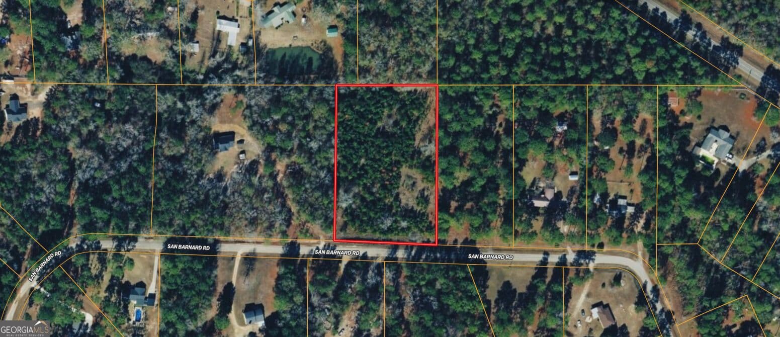 residential lot for sale at 0 San Barnard Arcade, Sylvester, GA 31791 — photo 10