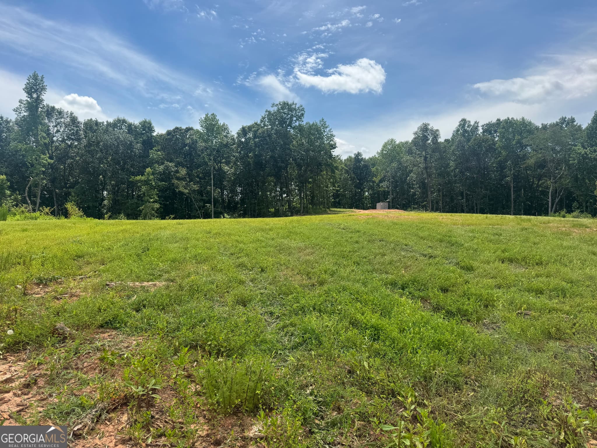 unimproved land for sale at LOT 4 Happy Hollow Road, Roopville, GA 30170 — photo 2