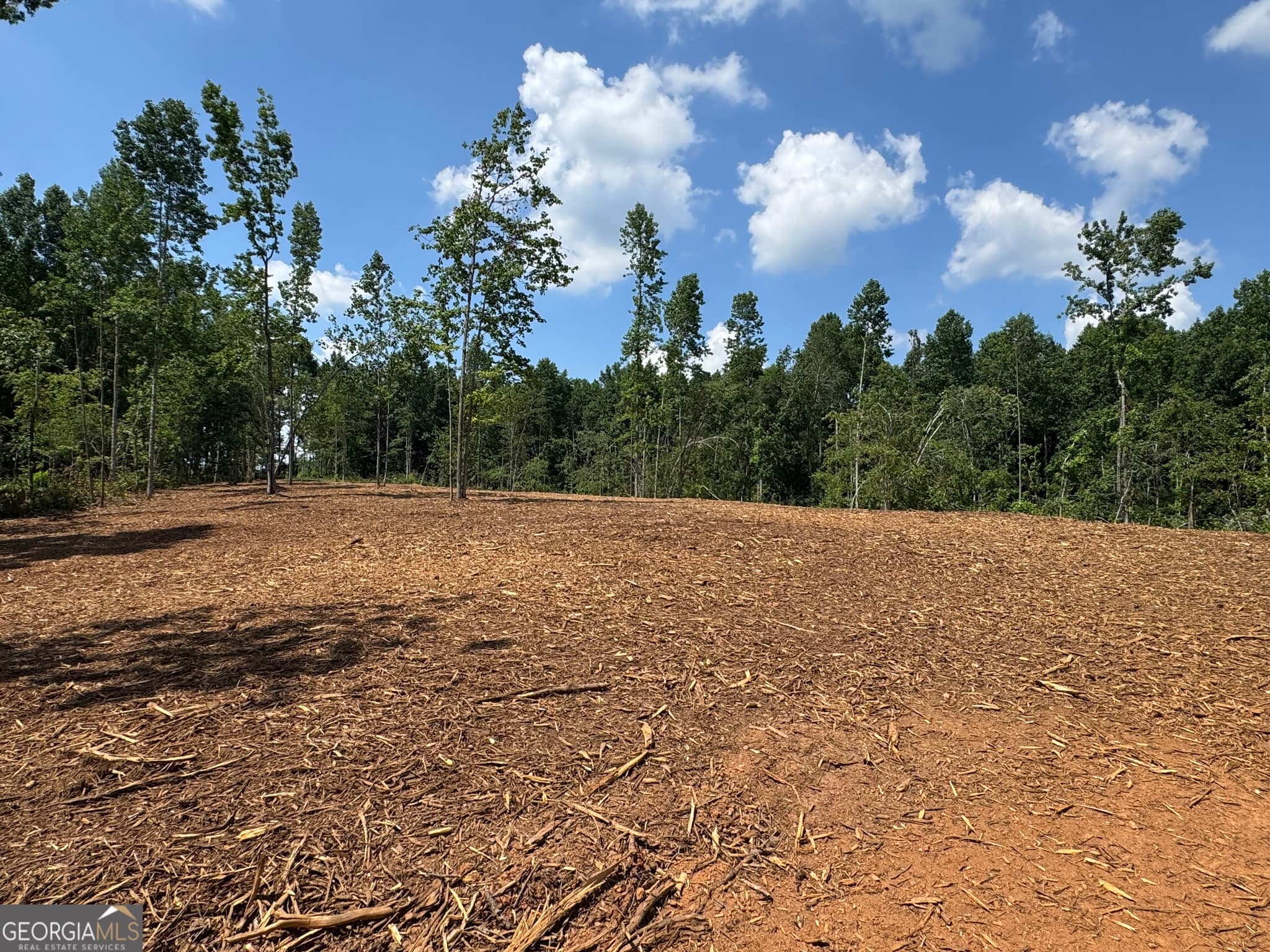 unimproved land for sale at LOT 4 Happy Hollow Road, Roopville, GA 30170 — photo 6