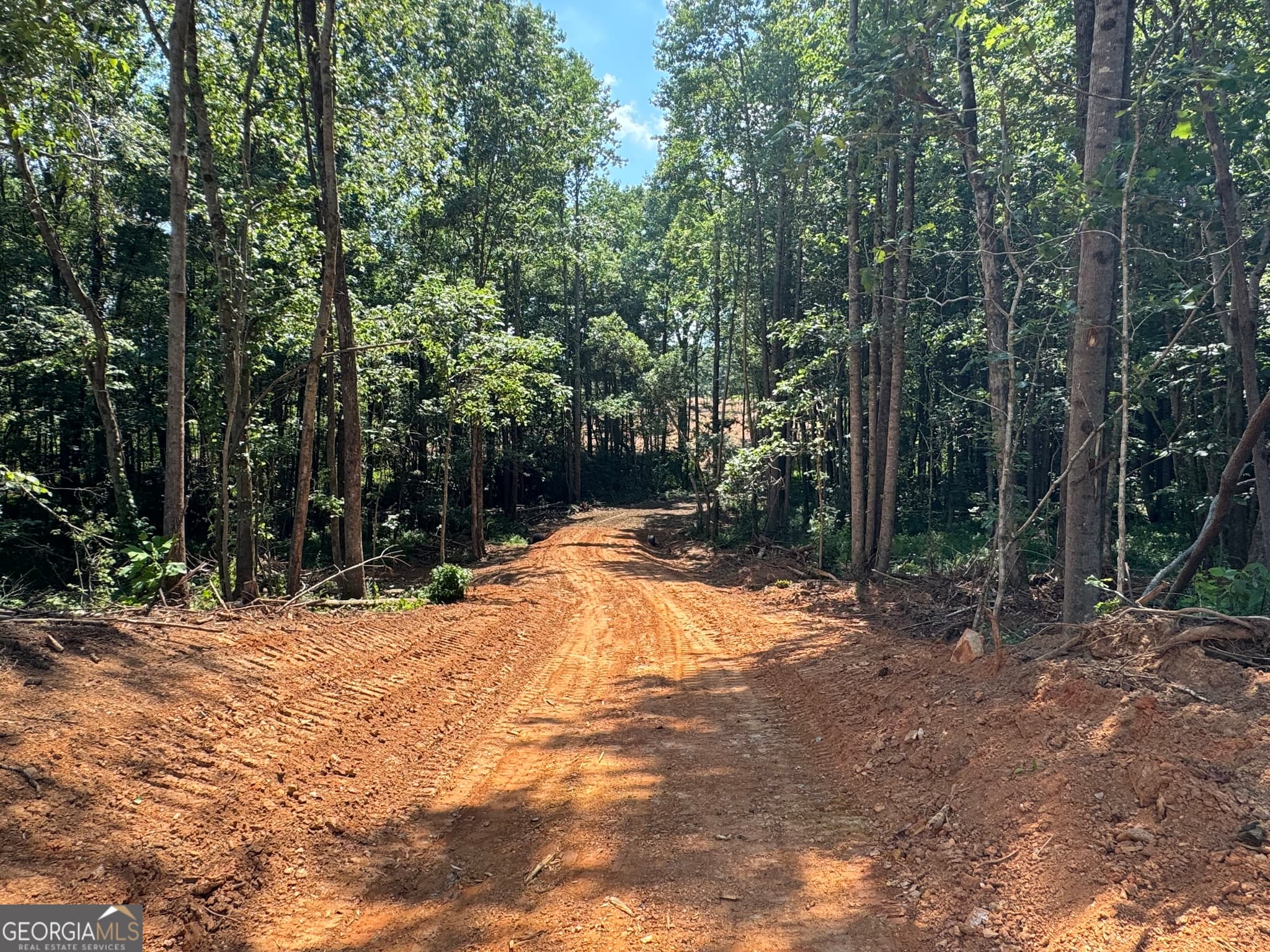 unimproved land for sale at LOT 4 Happy Hollow Road, Roopville, GA 30170 — photo 7