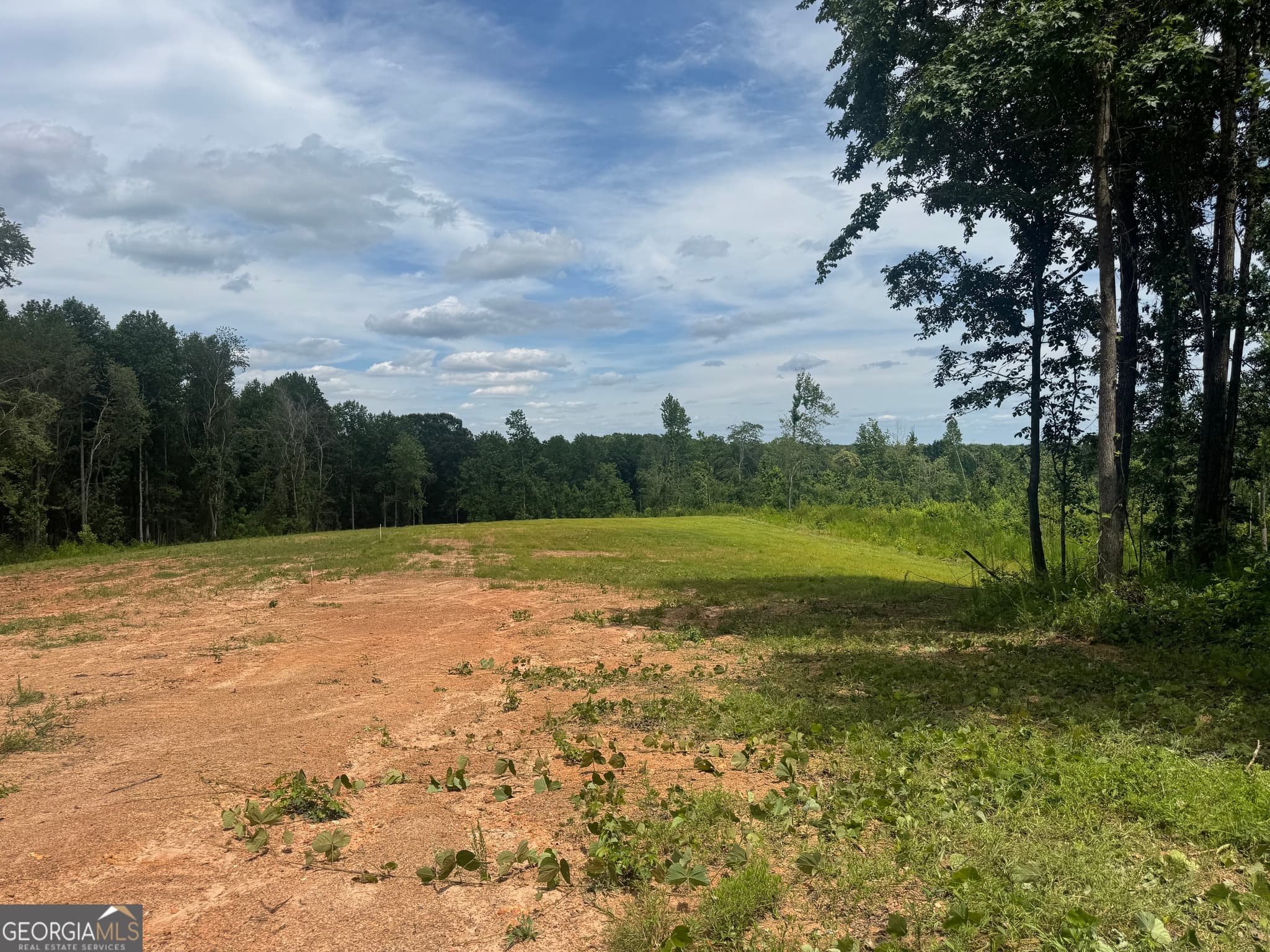 unimproved land for sale at LOT 4 Happy Hollow Road, Roopville, GA 30170 — photo 3