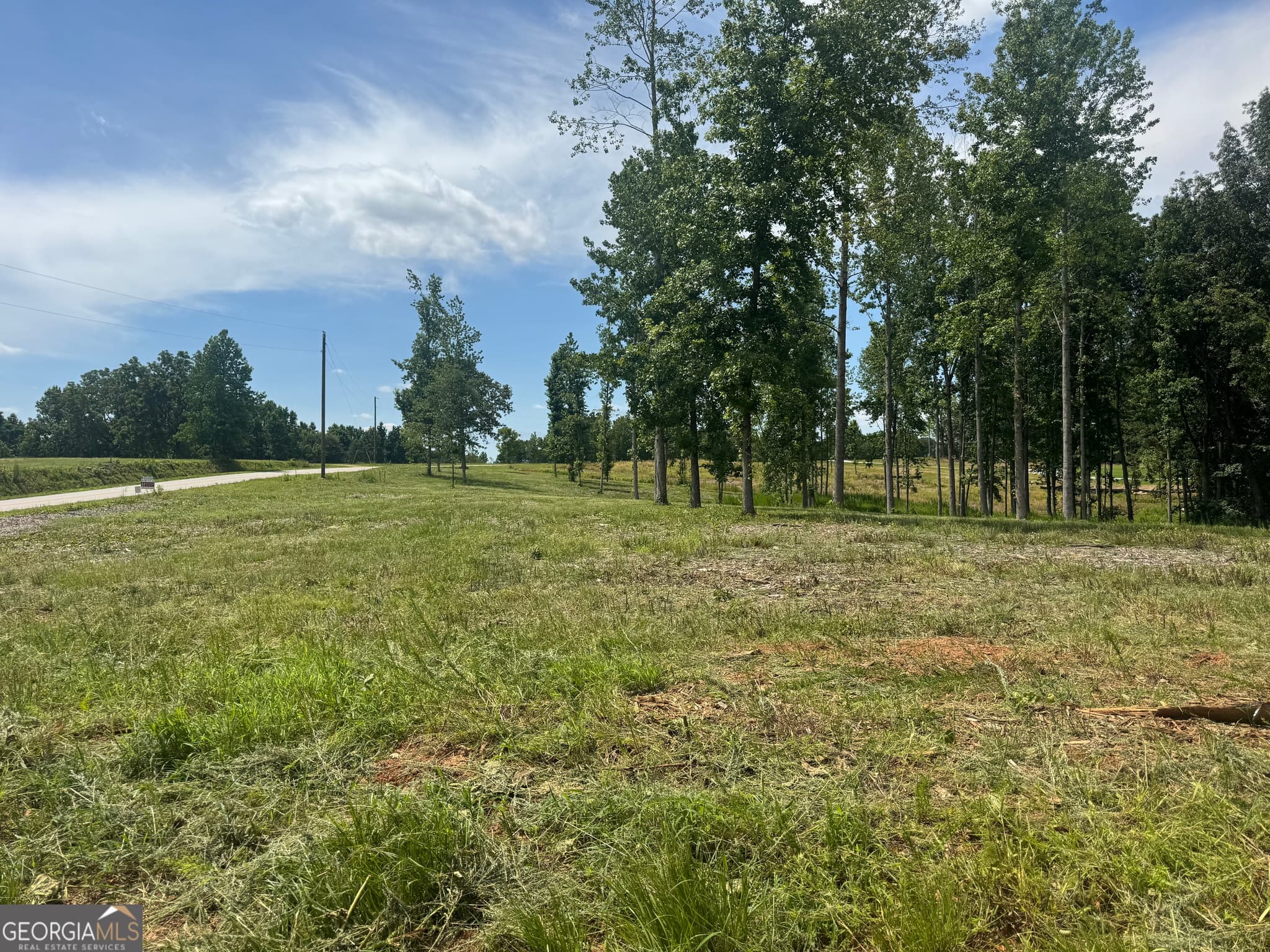 unimproved land for sale at LOT 4 Happy Hollow Road, Roopville, GA 30170