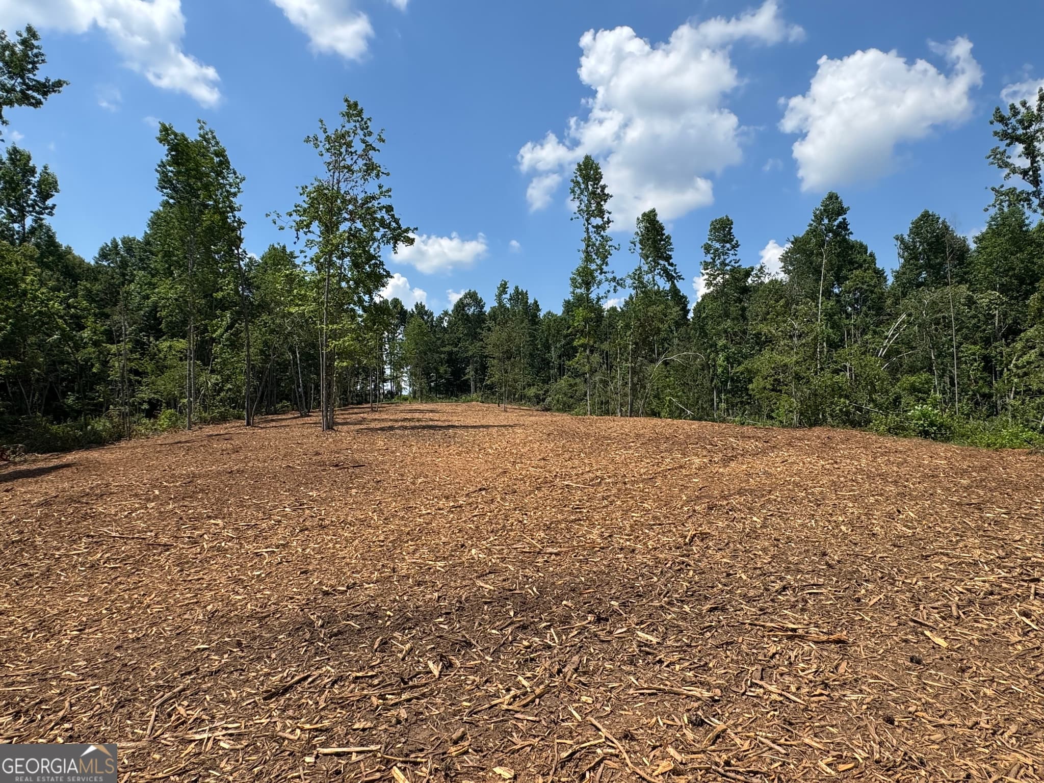 unimproved land for sale at LOT 4 Happy Hollow Road, Roopville, GA 30170 — photo 5