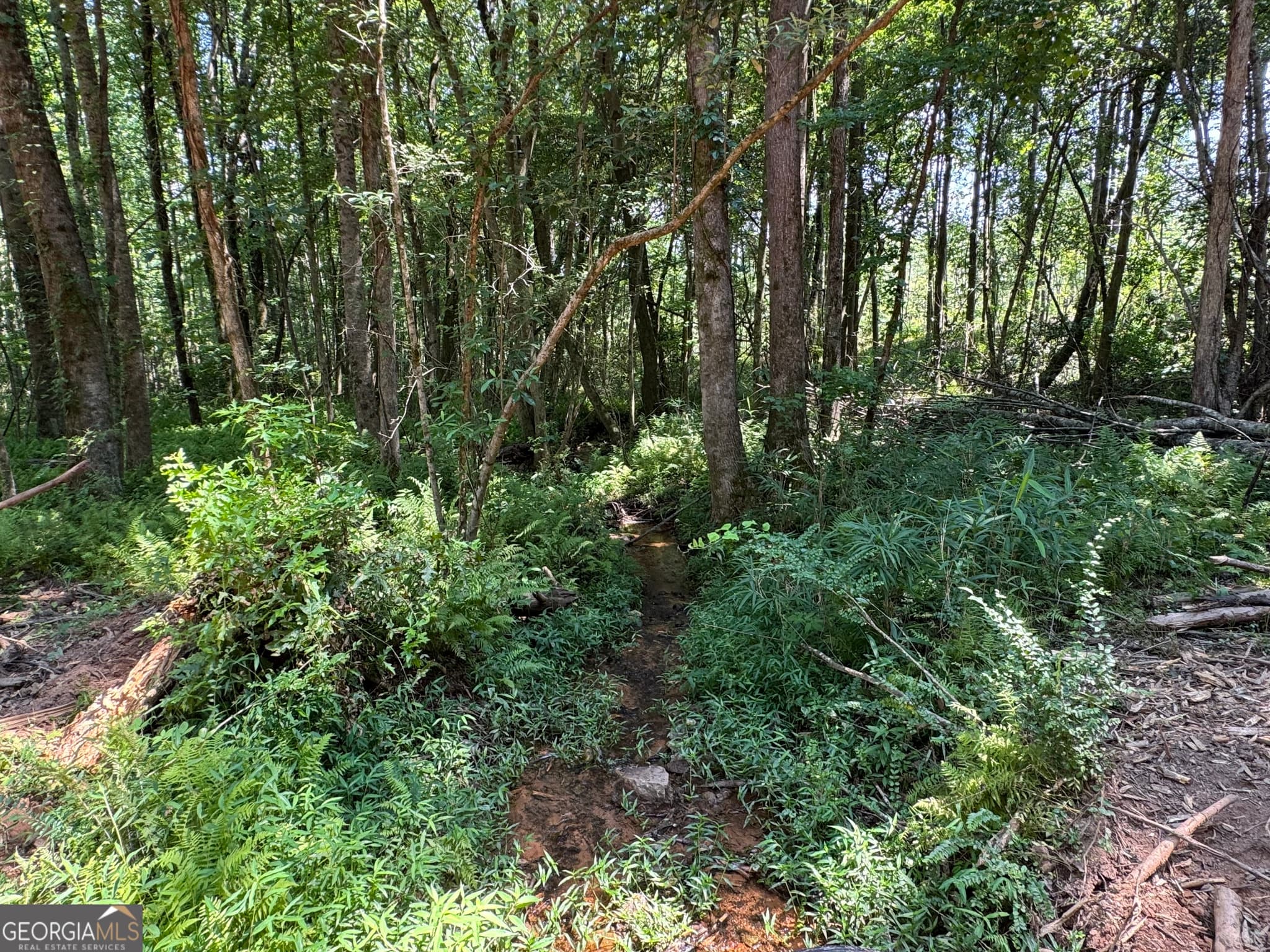 unimproved land for sale at LOT 4 Happy Hollow Road, Roopville, GA 30170 — photo 9