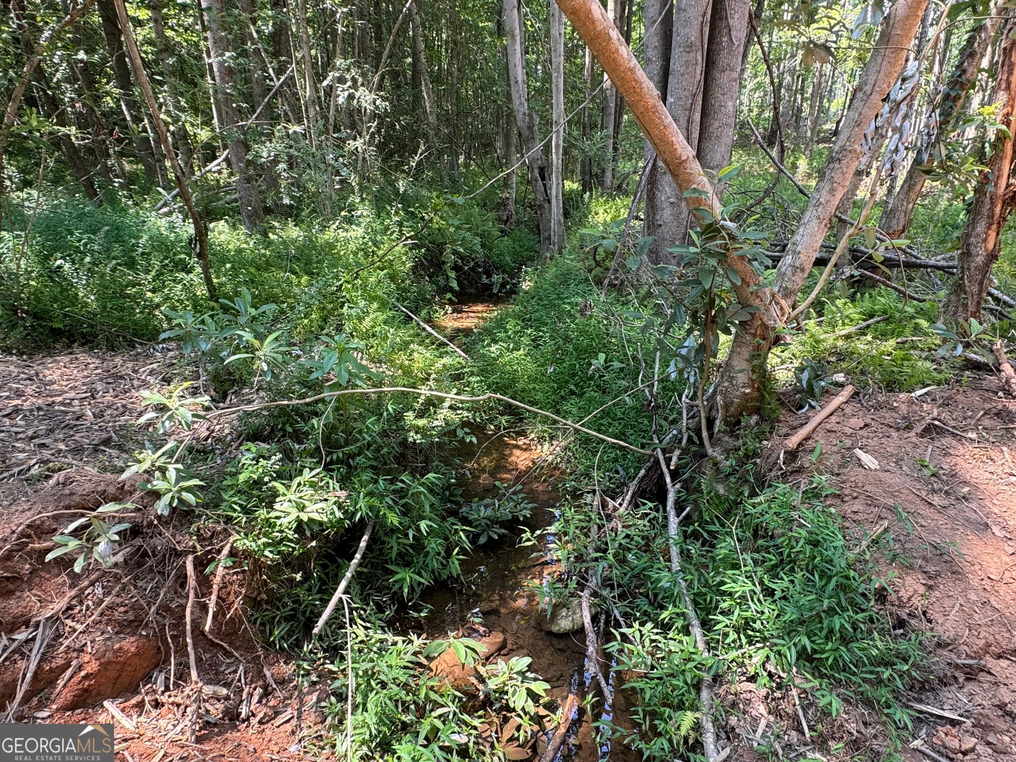 unimproved land for sale at LOT 4 Happy Hollow Road, Roopville, GA 30170 — photo 10