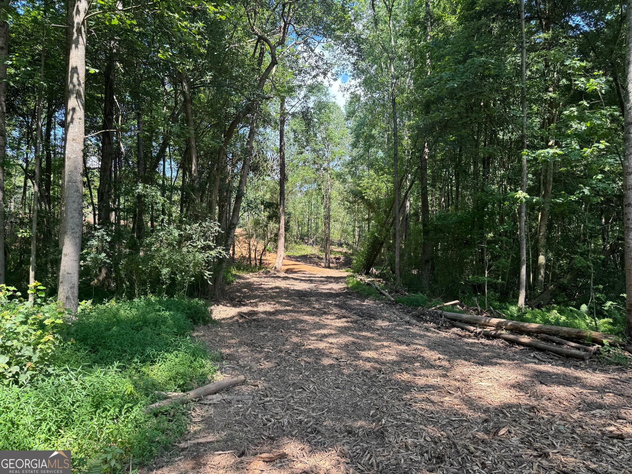 unimproved land for sale at LOT 4 Happy Hollow Road, Roopville, GA 30170 — photo 8