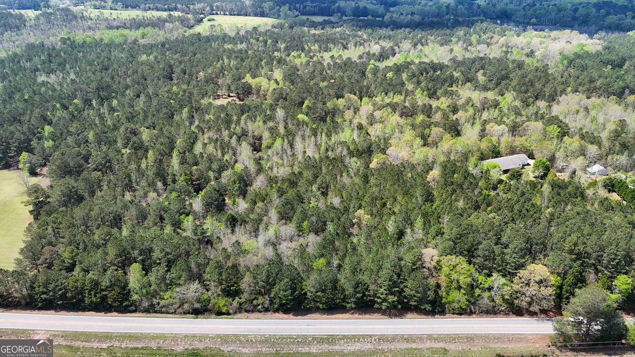 unimproved land for sale at 0 Hamilton Road, Pine Mountain, GA 31822 — photo 1 of 4