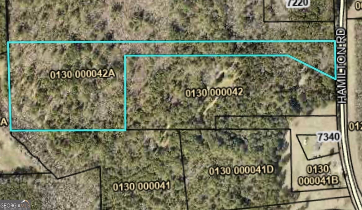 unimproved land for sale at 0 Hamilton Road, Pine Mountain, GA 31822 — photo 4