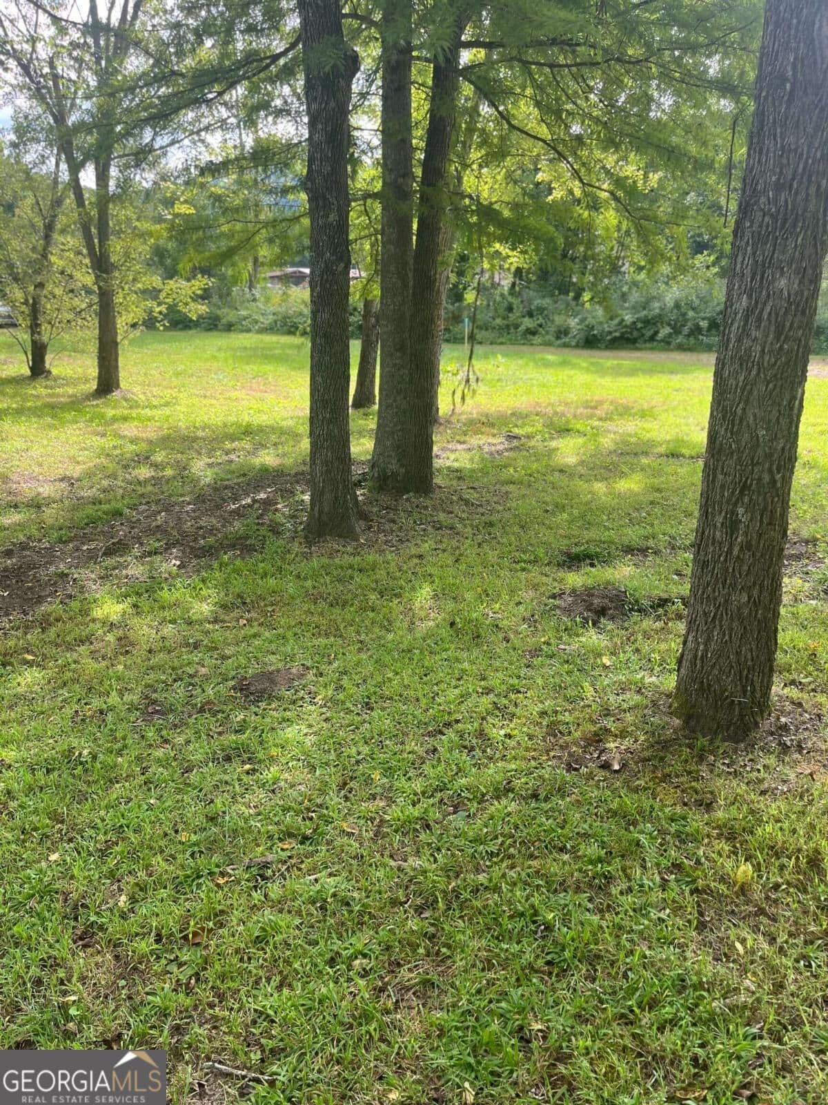 unimproved land for sale at 110 Peaceful Cove Lane, Franklin, NC 28734 — photo 9