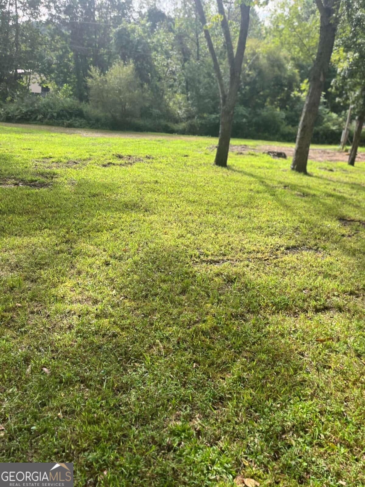 unimproved land for sale at 110 Peaceful Cove Lane, Franklin, NC 28734 — photo 8