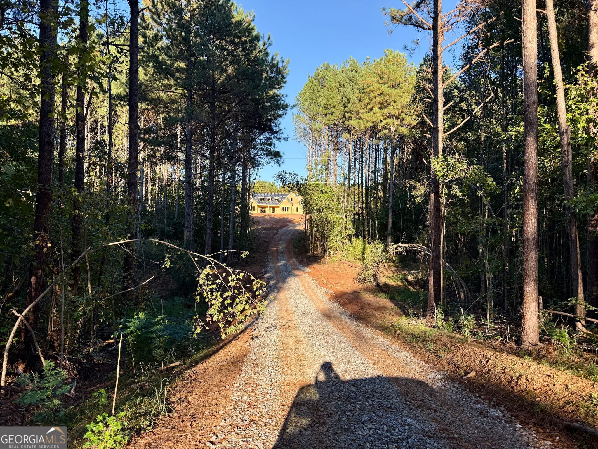 4 bedroom, 3.5 bathroom, 3,257 sq ft single family residence for sale at LOT 4 Mud Bridge Road, The Rock, GA 30285 — photo 8