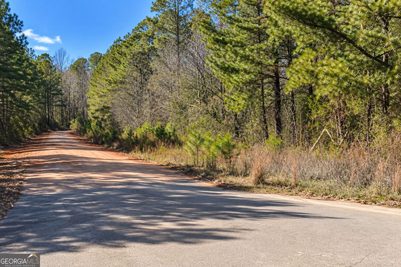 unimproved land for sale at 2.62 ACRES Powellton Road, Norwood, GA 30821 — photo 6
