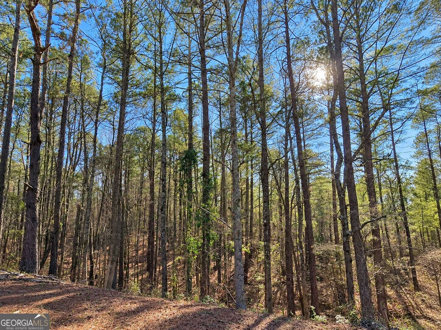 unimproved land for sale at 2.62 ACRES Powellton Road, Norwood, GA 30821 — photo 7
