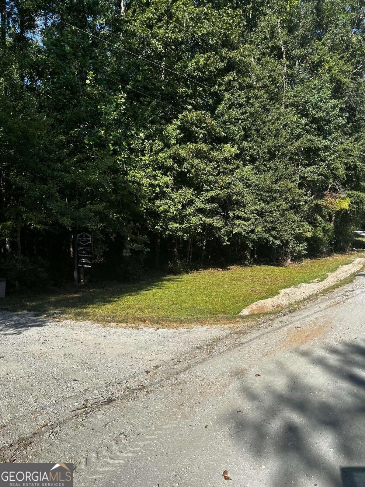 residential lot for sale at 12345 Hamilton Road, Palmetto, GA 30268 — photo 2