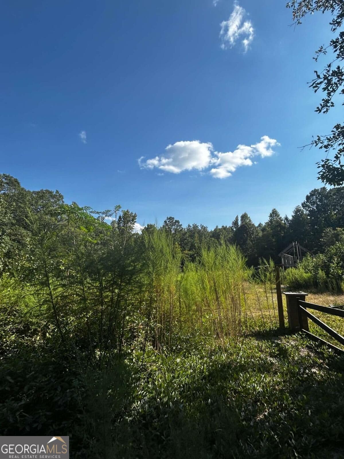 residential lot for sale at 12345 Hamilton Road, Palmetto, GA 30268 — photo 6