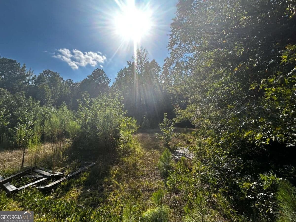 residential lot for sale at 12345 Hamilton Road, Palmetto, GA 30268 — photo 7