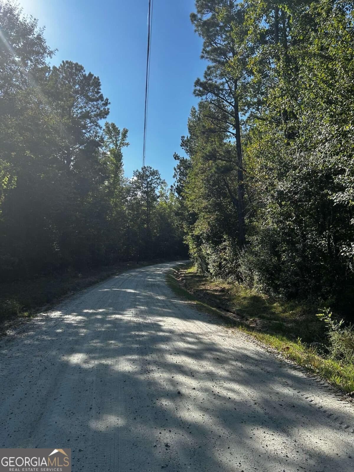 residential lot for sale at 12345 Hamilton Road, Palmetto, GA 30268 — photo 1 of 11
