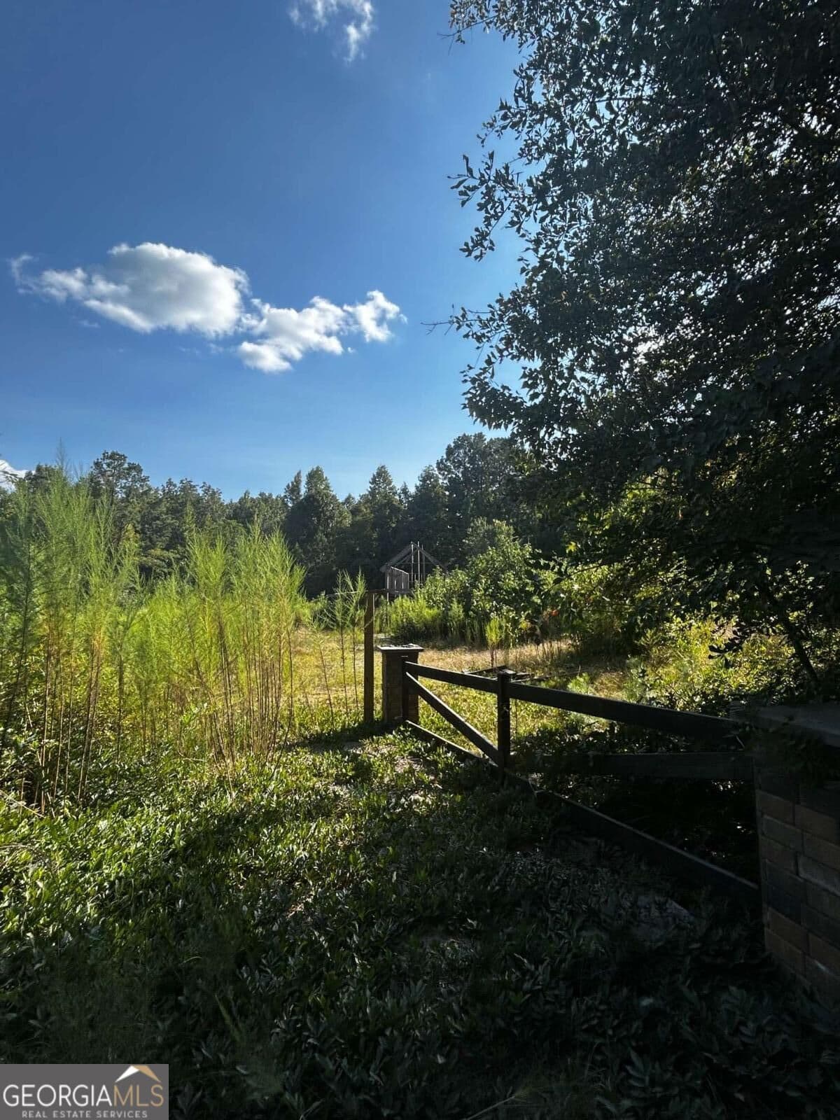 residential lot for sale at 12345 Hamilton Road, Palmetto, GA 30268 — photo 5