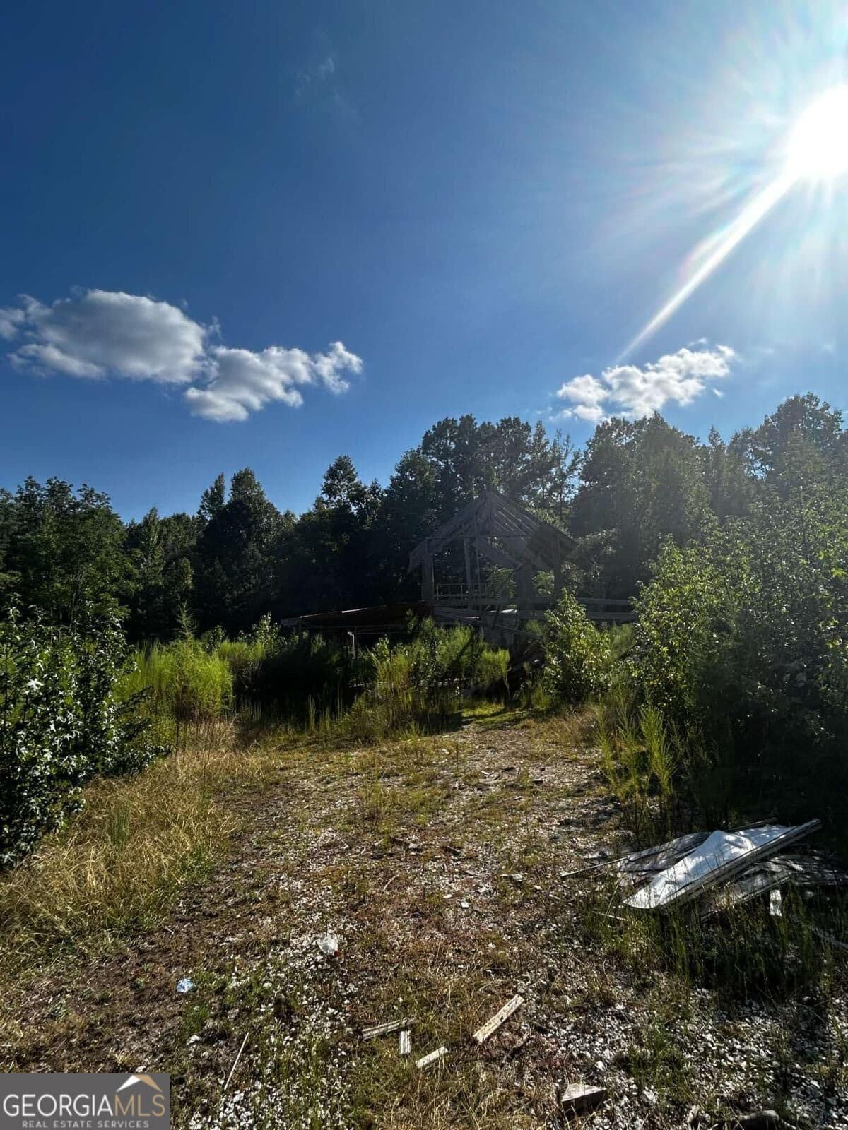 residential lot for sale at 12345 Hamilton Road, Palmetto, GA 30268 — photo 9