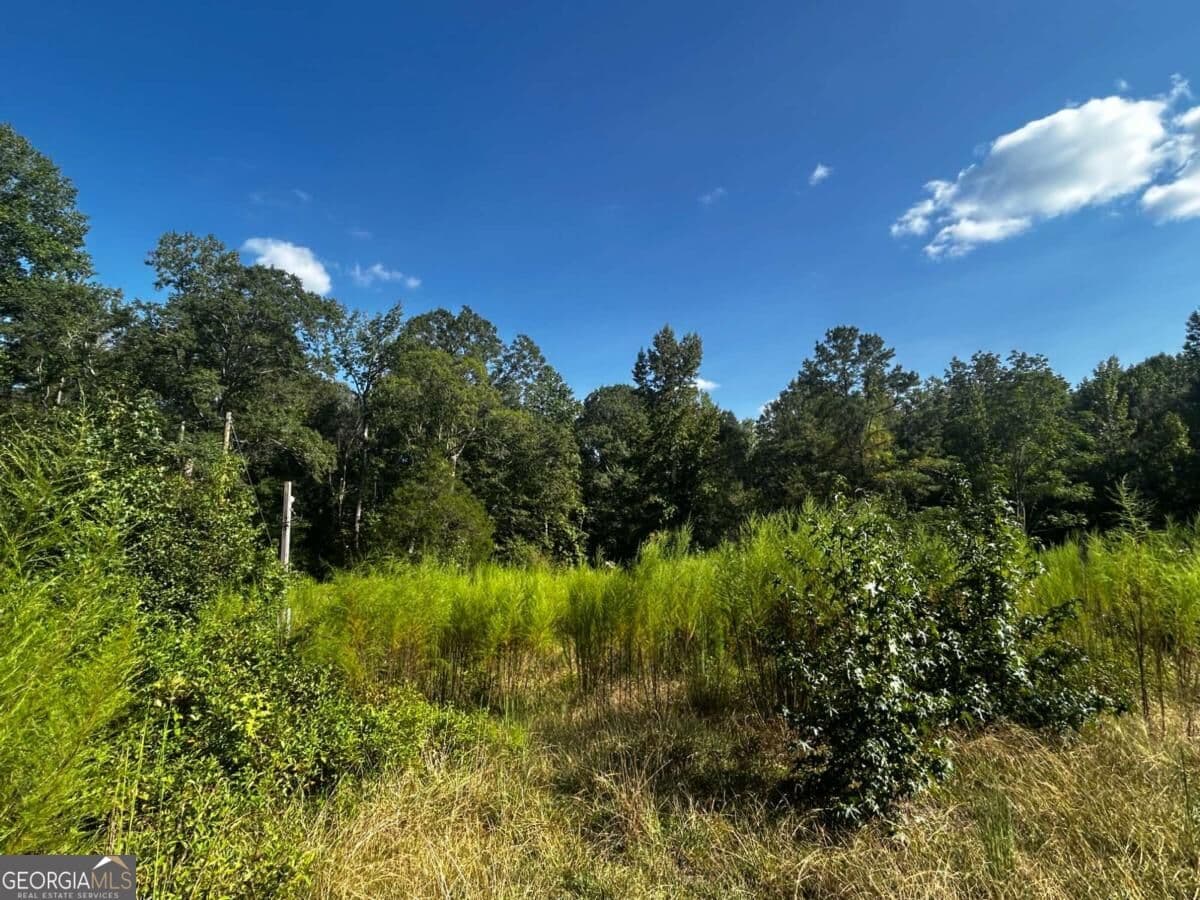 residential lot for sale at 12345 Hamilton Road, Palmetto, GA 30268 — photo 10