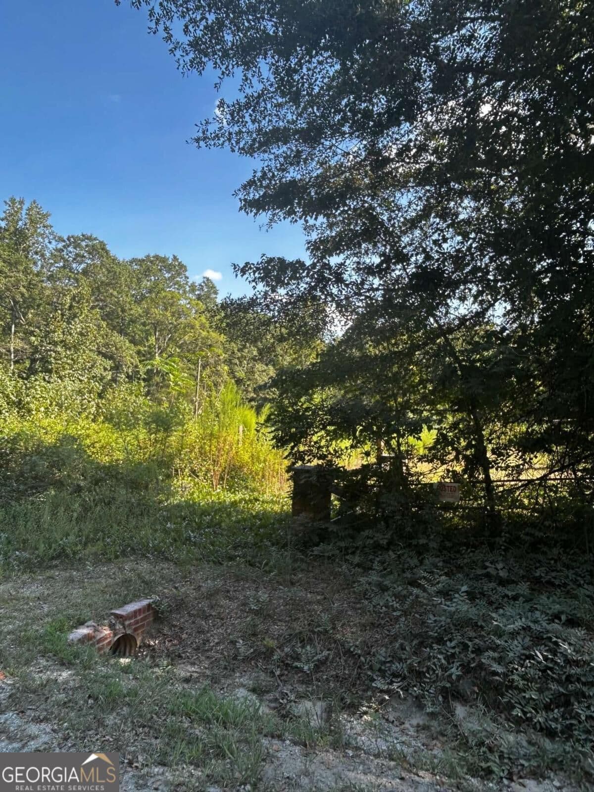 residential lot for sale at 12345 Hamilton Road, Palmetto, GA 30268 — photo 4