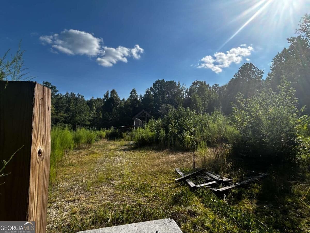 residential lot for sale at 12345 Hamilton Road, Palmetto, GA 30268 — photo 8
